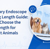 Guide des longueurs de travail des endoscopes vétérinaires : Comment choisir la longueur adaptée aux différents animaux