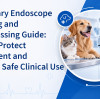 Guía para la limpieza y reprocesamiento de endoscopios veterinarios: Cómo proteger el equipo y garantizar un uso clínico seguro.