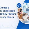 How to Choose a Veterinary Endoscope in 2026: 10 Key Factors for Veterinary Clinics
