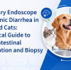 Endoscopia veterinaria para la diarrea crónica en perros y gatos: una guía práctica para el examen gastrointestinal y la biopsia.