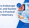 Veterinary Endoscope Air, Water, and Suction Functions: A Practical Guide for Veterinary Clinics