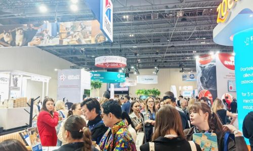 Aspectos destacados de la exposición | JEET Medical se globaliza en WSAVA 2026 en Varsovia, Polonia.