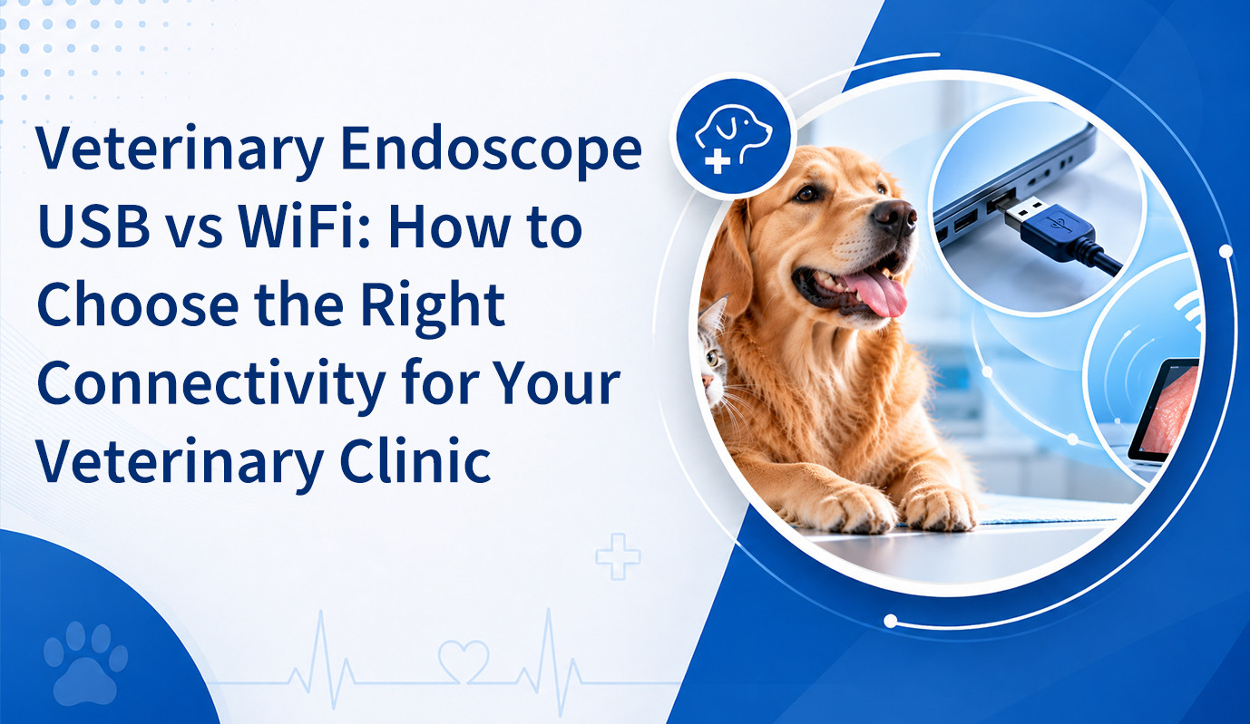 Veterinary Endoscope USB vs WiFi: How to Choose the Right Connectivity for Your Veterinary Clinic