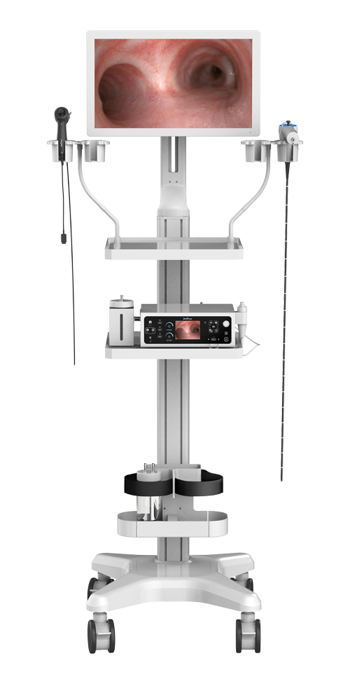 Veterinary Endoscopy Trolley | Total solution for veterinary endoscopy