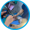 What Are the Common Types of Veterinary Endoscopy Forceps?