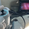 The Application of Veterinary Endoscopes