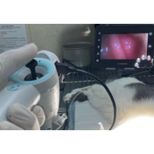 The Application of Veterinary Endoscopes