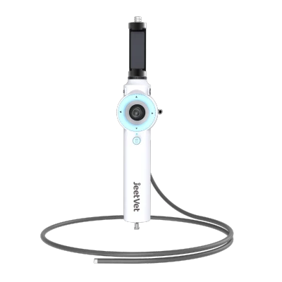Endoscope vétérinaire portable Wi-Fi | 750 mm | Alimentation en eau et en air, aspiration