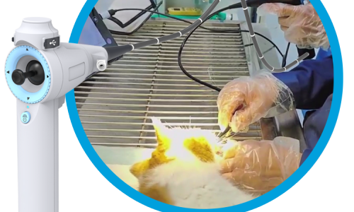 How Does the Veterinary Endoscope Work?