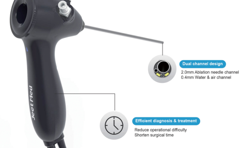 Endoscopic Tumor Ablation: A Visualization Solution for Tumors in Pets