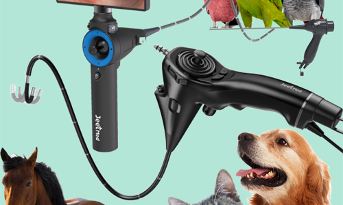 How to Choose the Right Veterinary Endoscope for Your Pet?