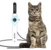 Common GI Disorders in Animals Diagnosed with Veterinary Endoscope