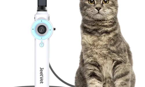 Common GI Disorders in Animals Diagnosed with Veterinary Endoscope