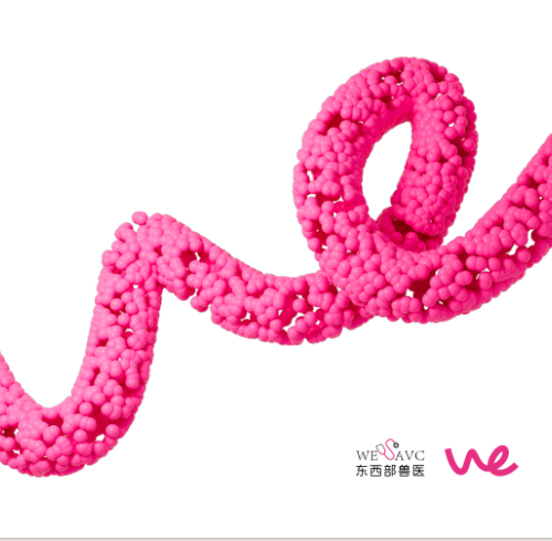 Invitation to Visit Our Booth at WESAVC 2025