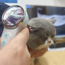 RAE-500 Portable Smart Veterinary Otoscope | Visual examination and diagnosis of the external ear canal in animals