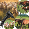 Why Portable Veterinary Endoscopes Are Essential for Modern Livestock Health Management