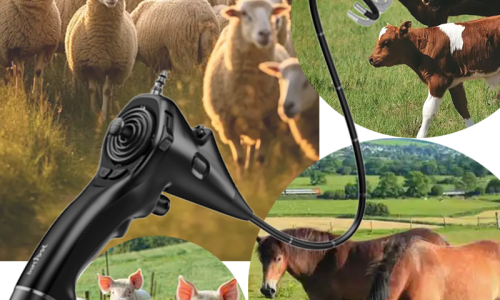 Why Portable Veterinary Endoscopes Are Essential for Modern Livestock Health Management