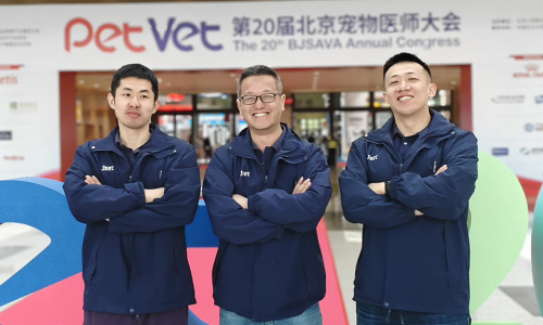 JeetVet Veterinary Endoscopy Shines at the 20th BJSAVA Annual Congress!