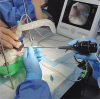 How to Use Rigid Veterinary Endoscope to Perform Endoscopic Endotracheal Intubation on Pets