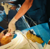 Veterinarian Insights: Accidental Ingestion in Pets & How Jeetvet Endoscopy Saves Lives
