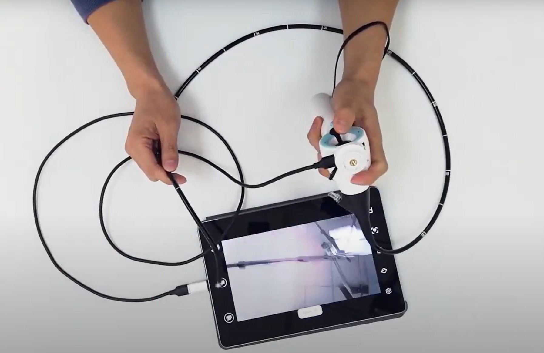 veterinary endoscope