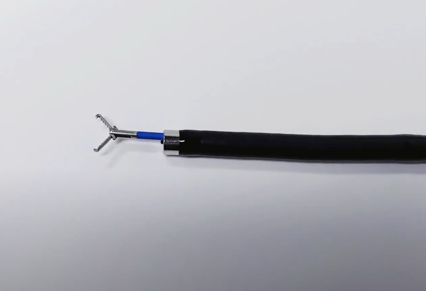 Alligator Forceps 