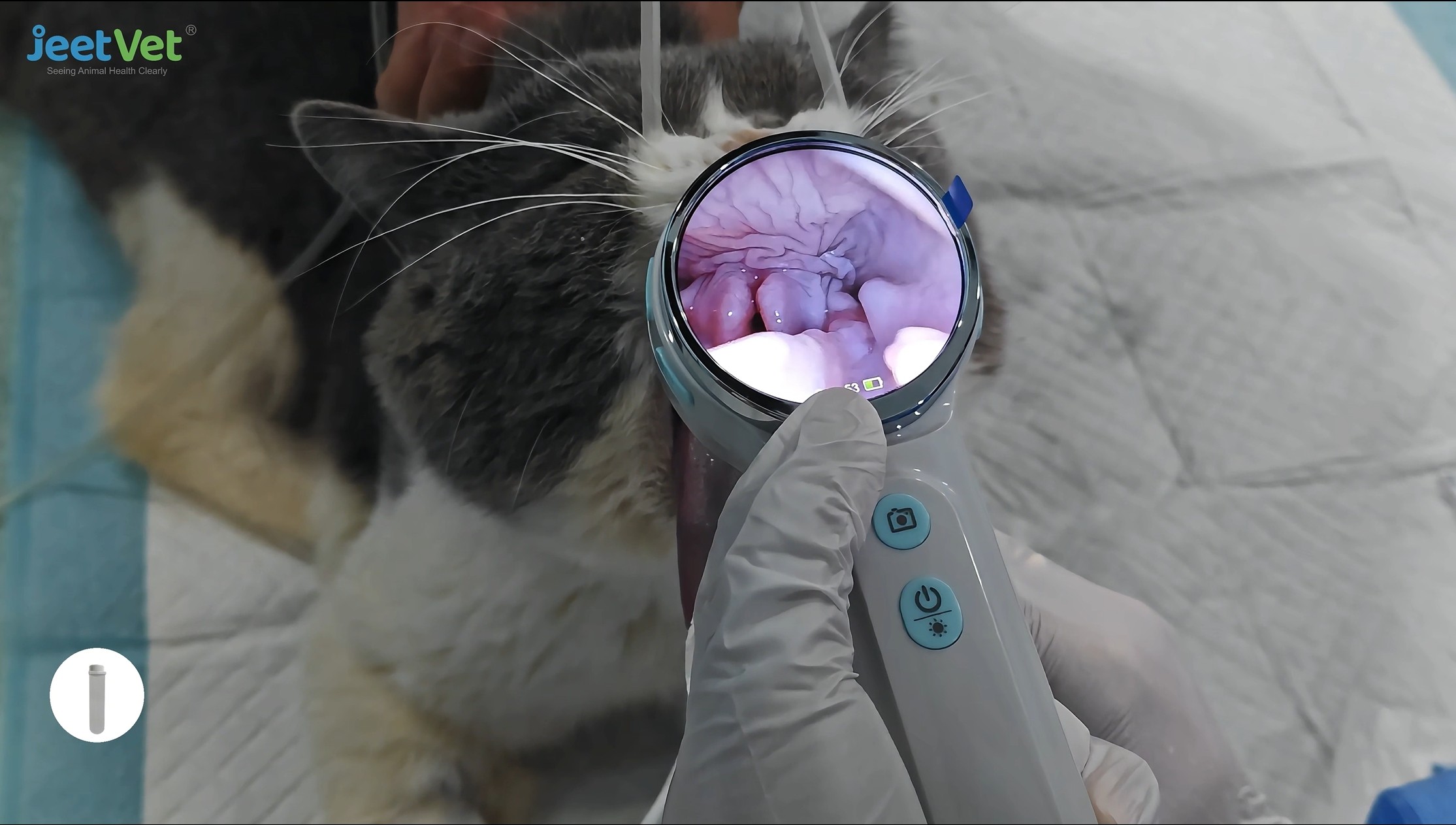 Comparison of traditional otoscope and wireless video otoscope