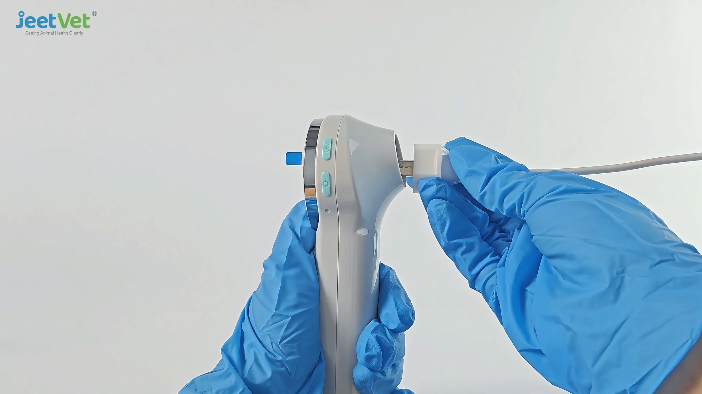 Wireless veterinary otoscope in clinical use