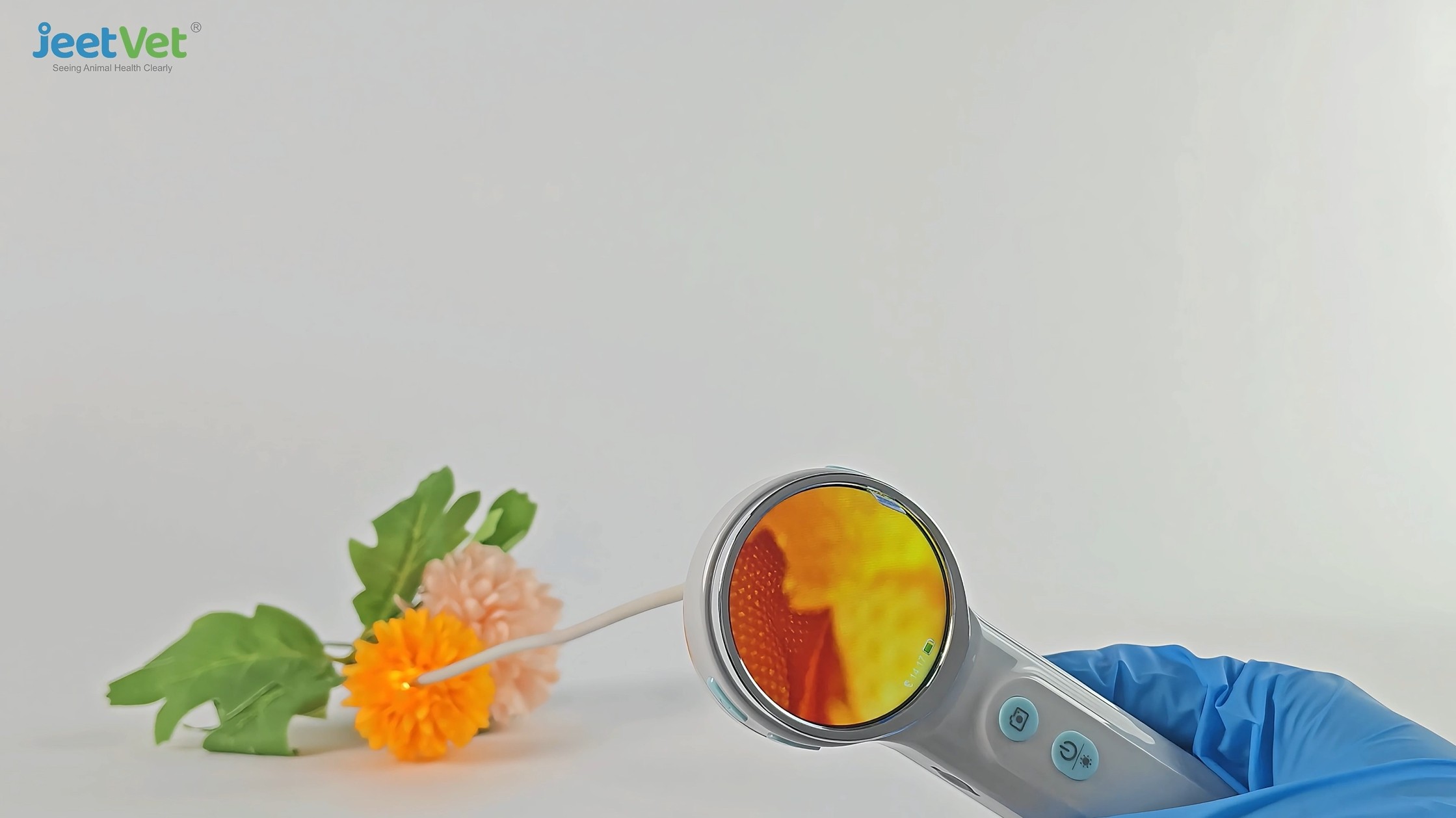 JEETVET wireless otoscope product showcase 2