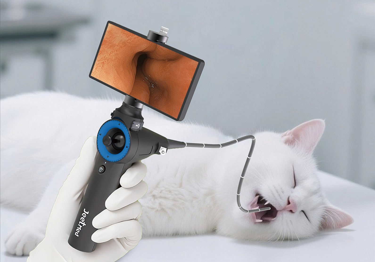 Veterinary Endoscope in Use