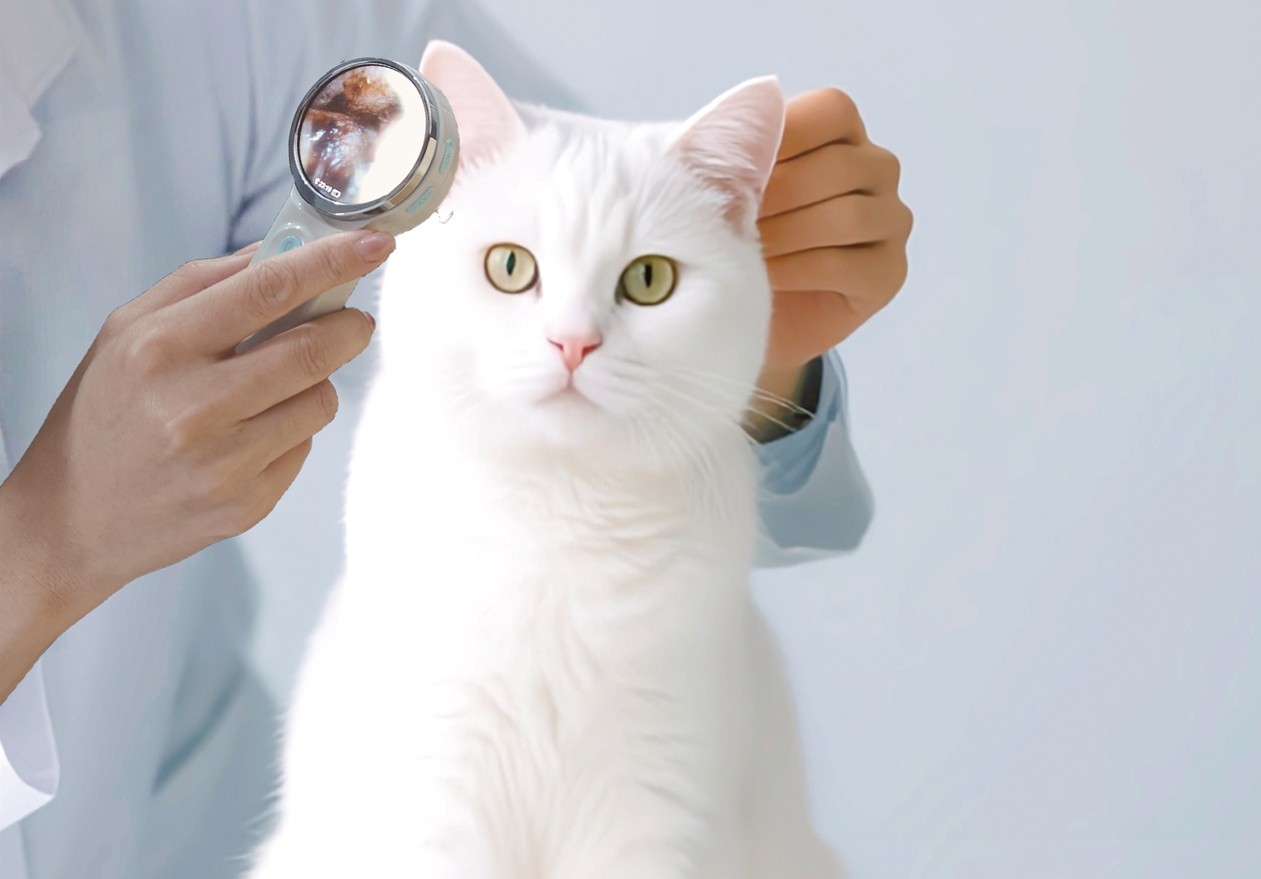 VVeterinary Endoscope Portability Use Case