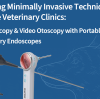 Bringing Minimally Invasive Techniques to Private Veterinary Clinics: Laparoscopy & Video Otoscopy with Portable Veterinary Endoscopes