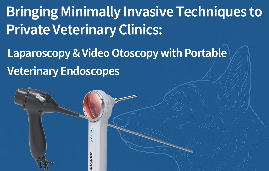 Bringing Minimally Invasive Techniques to Private Veterinary Clinics: Laparoscopy & Video Otoscopy with Portable Veterinary Endoscopes