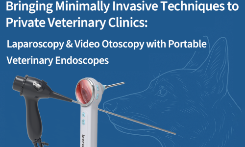 Bringing Minimally Invasive Techniques to Private Veterinary Clinics: Laparoscopy & Video Otoscopy with Portable Veterinary Endoscopes