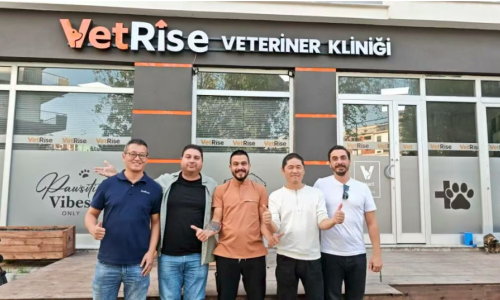 Les endoscopes médicaux Jeet brillent sur le marché vétérinaire turc