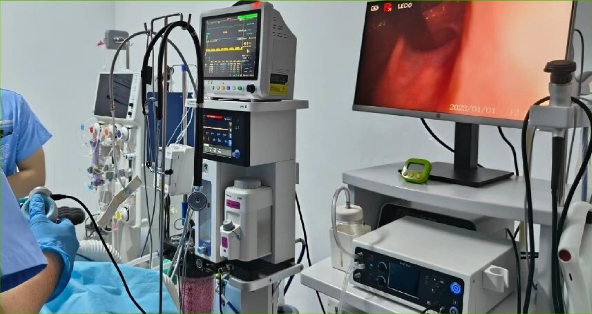 Endoscope examining a fish underwater