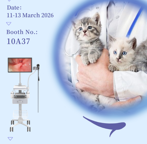 Invitation to Visit Our Booth at Iberzoo Propet 2026