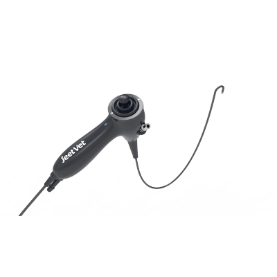 RAE-201 Veterinary Flexible Otoscope | Ultra-thin electronic endoscope