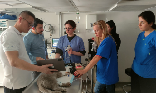 JeetVet figure dans un rapport international sur l'industrie aux côtés de Karl Storz et d'Olympus en tant que fabricant mondial majeur d'endoscopes vétérinaires