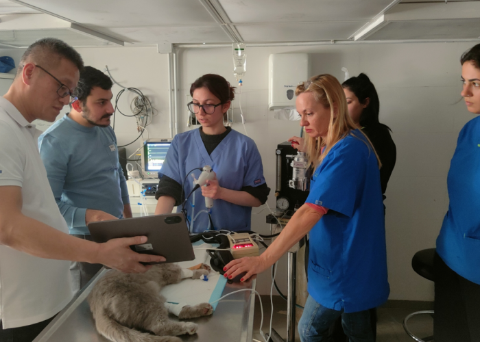 JeetVet Featured in International Industry Report Alongside Karl Storz and Olympus as a Major Global Veterinary Endoscope Manufacturer