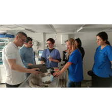 JeetVet Featured in International Industry Report Alongside Karl Storz and Olympus as a Major Global Veterinary Endoscope Manufacturer