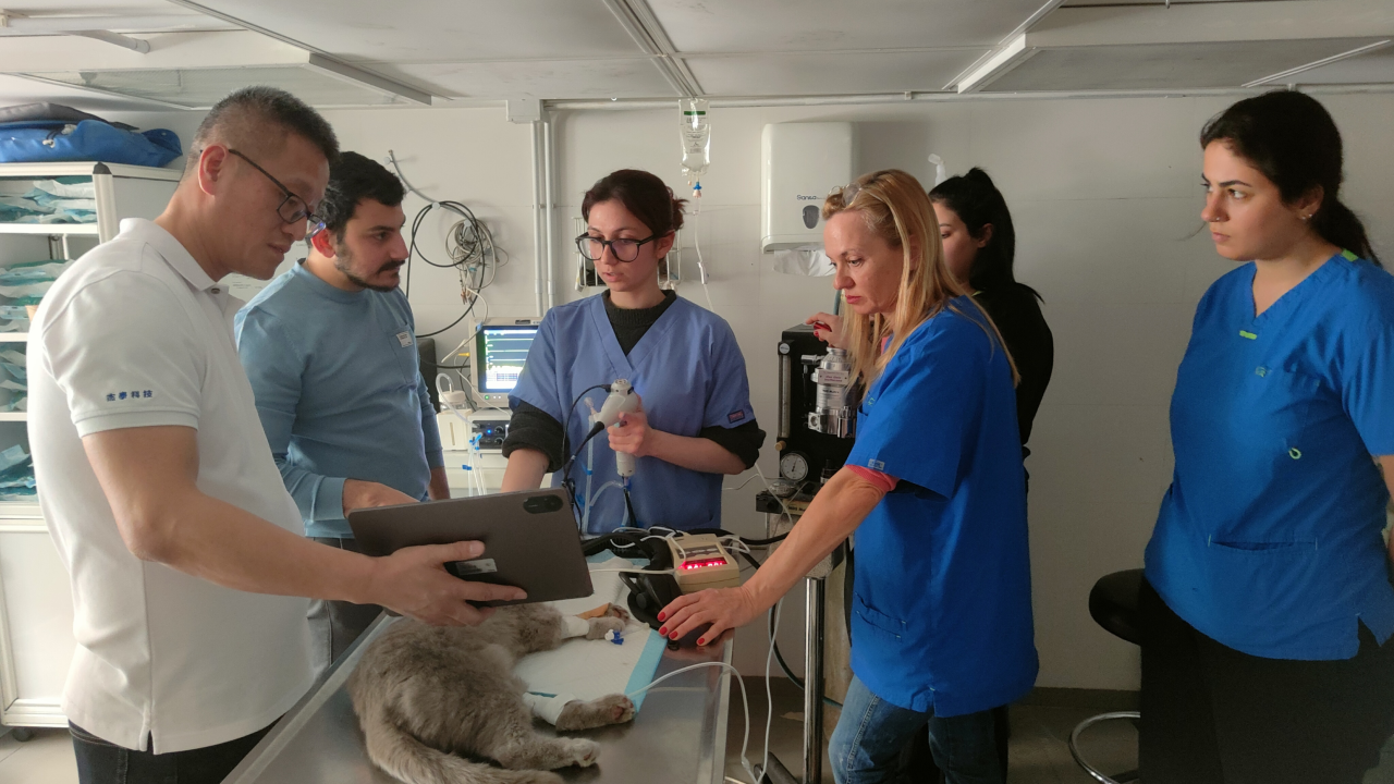 JeetVet Featured in International Industry Report Alongside Karl Storz and Olympus as a Major Global Veterinary Endoscope Manufacturer