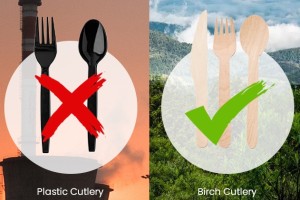 为什么选择木制餐具而不是塑料餐具?