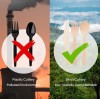 ¿Por qué elegir vajilla de madera en lugar de vajilla de plástico?