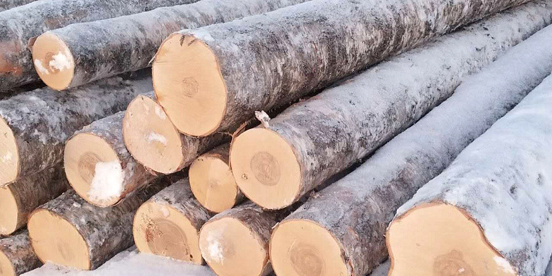 Personaliza palillos de madera y bambú, paso 1: elección de materiales ecológicos, palillos de madera