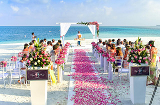 Bodas y eventos, escenario de uso de pajitas ecológicas, pajitas de madera, pajitas de madera al por mayor, pajitas de bambú, pajitas de bambú al por mayor, pajitas de papel, pajitas de papel al por mayor