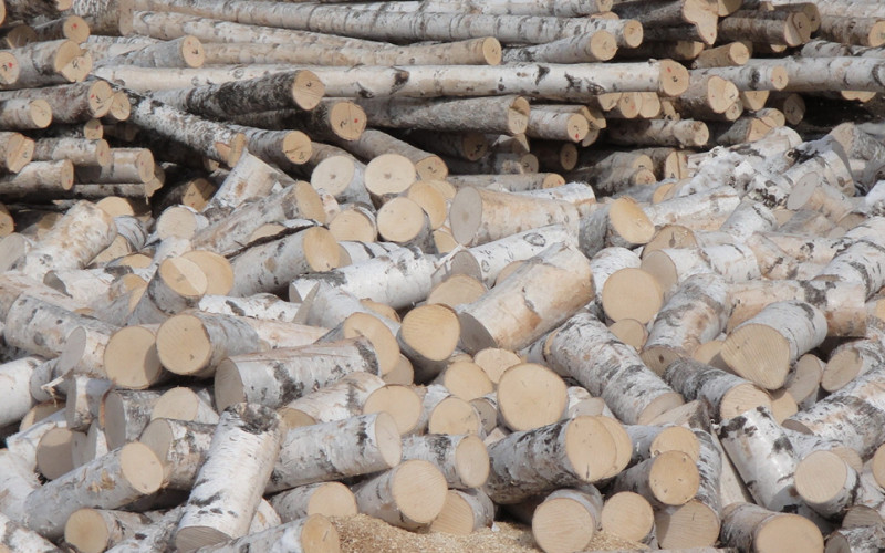 Overseas Birch Raw Material And Production Base