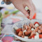 YADA 65mm/68mm Wooden Toothpicks Wholesale | Reusable Container Bacon Roll Picks | Eco Wood Pick