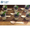 亚大鑫源 批发一次性迷你木勺 | 环保可降解木勺 可堆肥木勺 | 定制冰淇淋木勺 | 110毫米 100毫米 95毫米 70毫米 小木勺