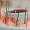 YADA 65mm Colored Wooden Toothpicks Wholesale | Bulk Wood Colorful Toothpicks | Food Picks for Party
